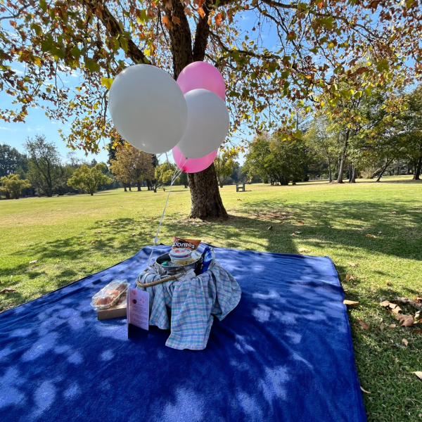Johannesburg: Surprise Picnic at Johannesburg Botanical Gardens